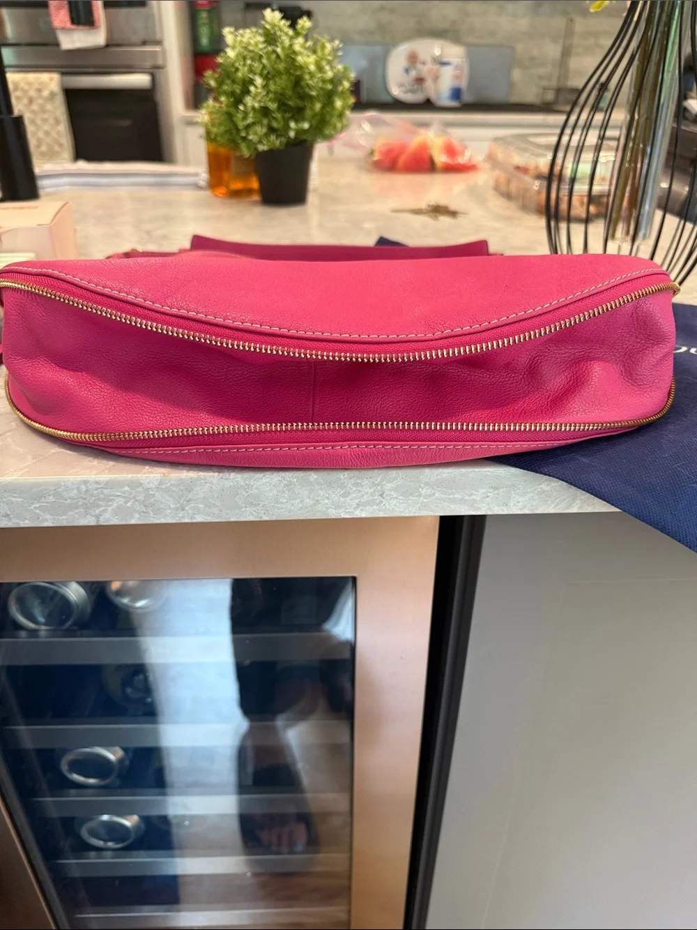 Dooney and Bourke Luna Crescent hobo bag